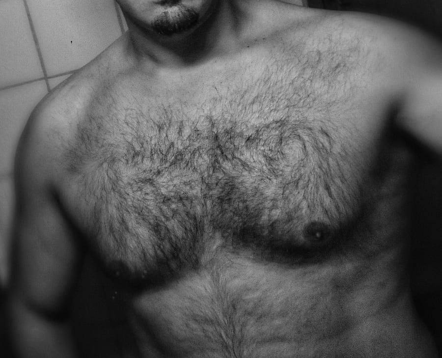Profil de Ege
